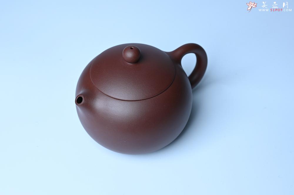 紫砂壶图片：美壶福利特惠 精工西施 泥料优秀 - 紫砂壶之家紫砂壶网