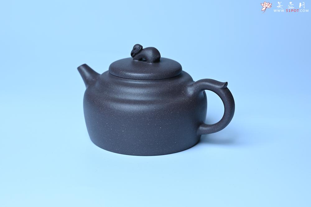 紫砂壶图片：美壶特惠 精品青灰泥玉兔紫砂壶 茶人醉爱 - 紫砂壶之家紫砂壶网