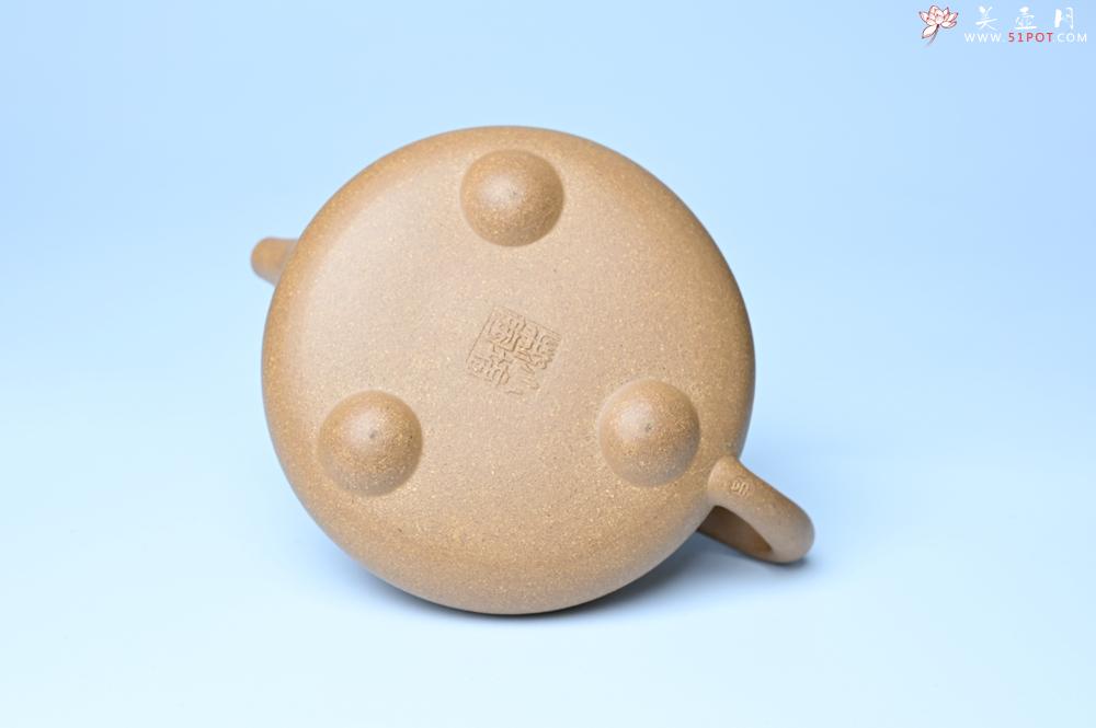 紫砂壶图片：潜力股周小培全手工老黄段泥（家藏老料 油润无比 识者自知）景舟石瓢 装饰鳜鱼图 双贵图 寓意富贵如意 - 紫砂壶之家紫砂壶网
