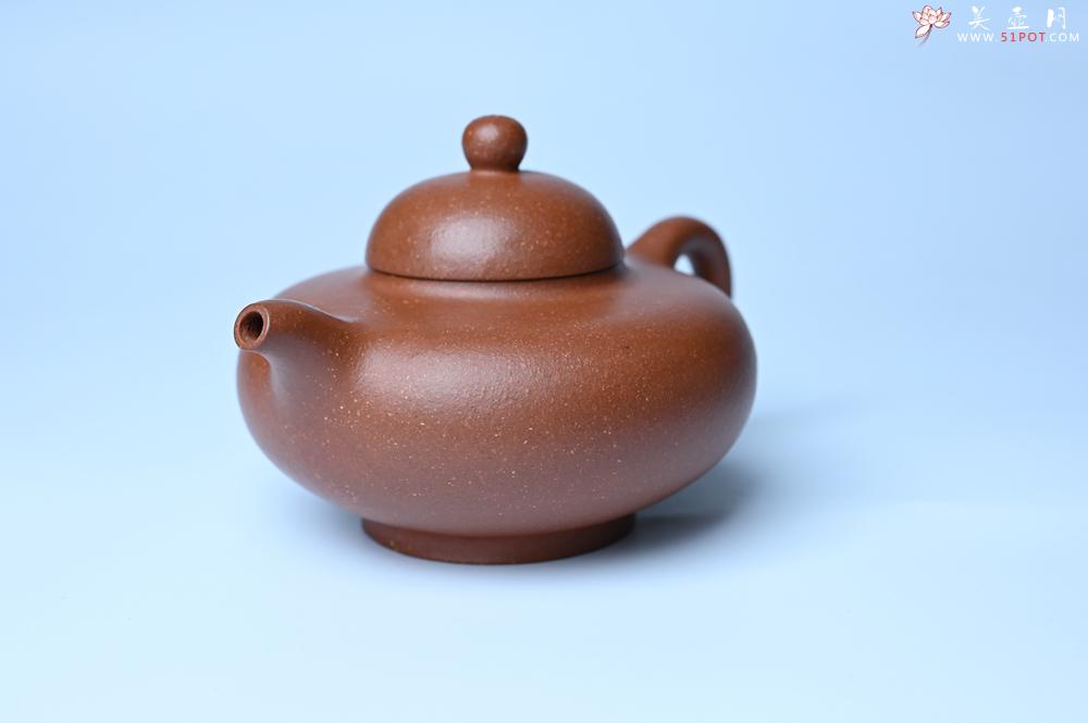 紫砂壶图片：美壶特惠 精致特好降坡泥华颖壶 茶人醉爱 - 紫砂壶之家紫砂壶网