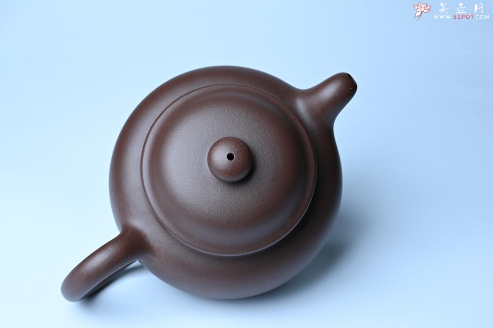 紫砂壶图片：美壶特惠 精致大掇只壶 大品气势恢宏 茶人醉爱 - 紫砂壶之家紫砂壶网