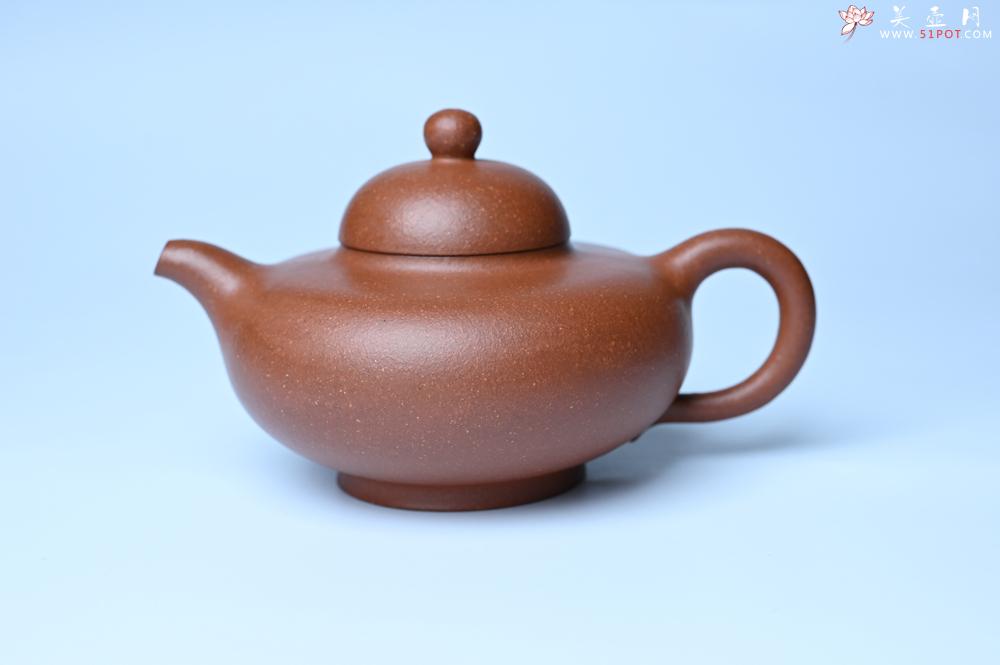 紫砂壶图片：美壶特惠 精致特好降坡泥华颖壶 茶人醉爱 - 紫砂壶之家紫砂壶网
