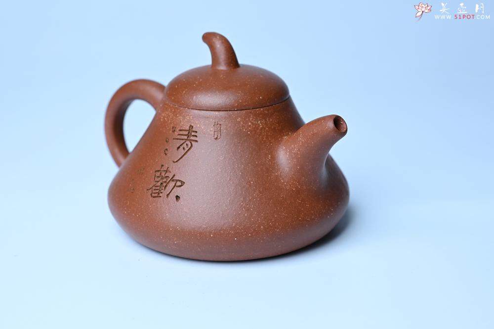 紫砂壶图片：美壶特惠 潜力股王老师 全手工拍打成型茄瓢壶 装饰枯枝鸟 特文气 - 紫砂壶之家紫砂壶网