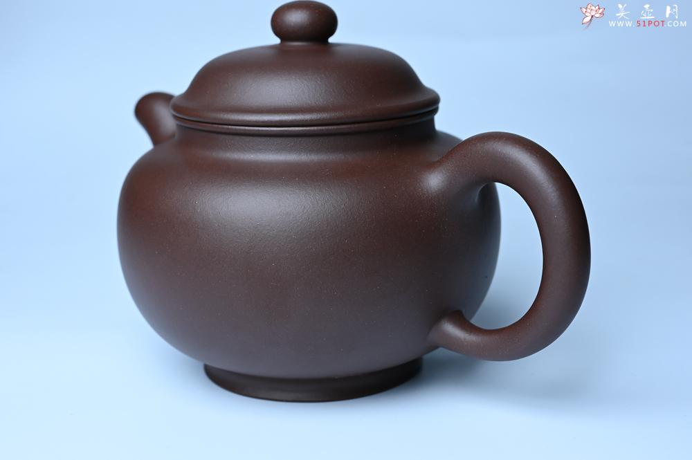 紫砂壶图片：美壶特惠 精致大掇只壶 大品气势恢宏 茶人醉爱 - 紫砂壶之家紫砂壶网