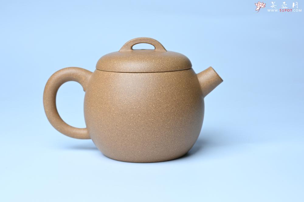 紫砂壶图片：美壶特惠 特好老黄段泥精致大炮巨轮壶 茶人醉爱 - 紫砂壶之家紫砂壶网