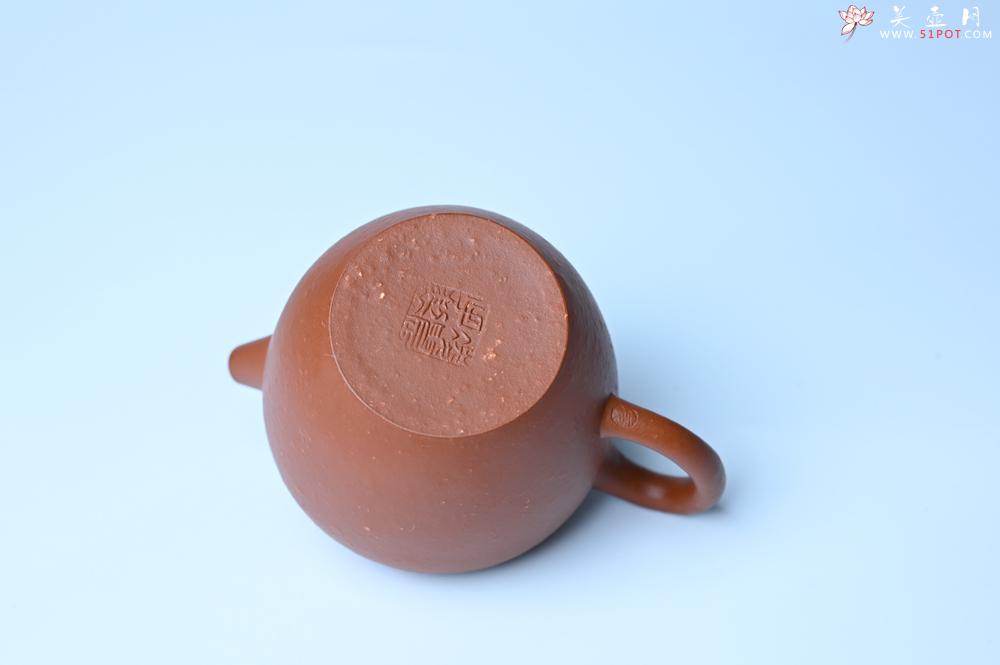 紫砂壶图片：美壶特惠 精品粗砂红泥巨轮壶 茶人醉爱 - 紫砂壶之家紫砂壶网