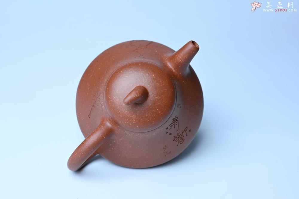 紫砂壶图片：美壶特惠 潜力股王老师 全手工拍打成型茄瓢壶 装饰枯枝鸟 特文气 - 紫砂壶之家紫砂壶网