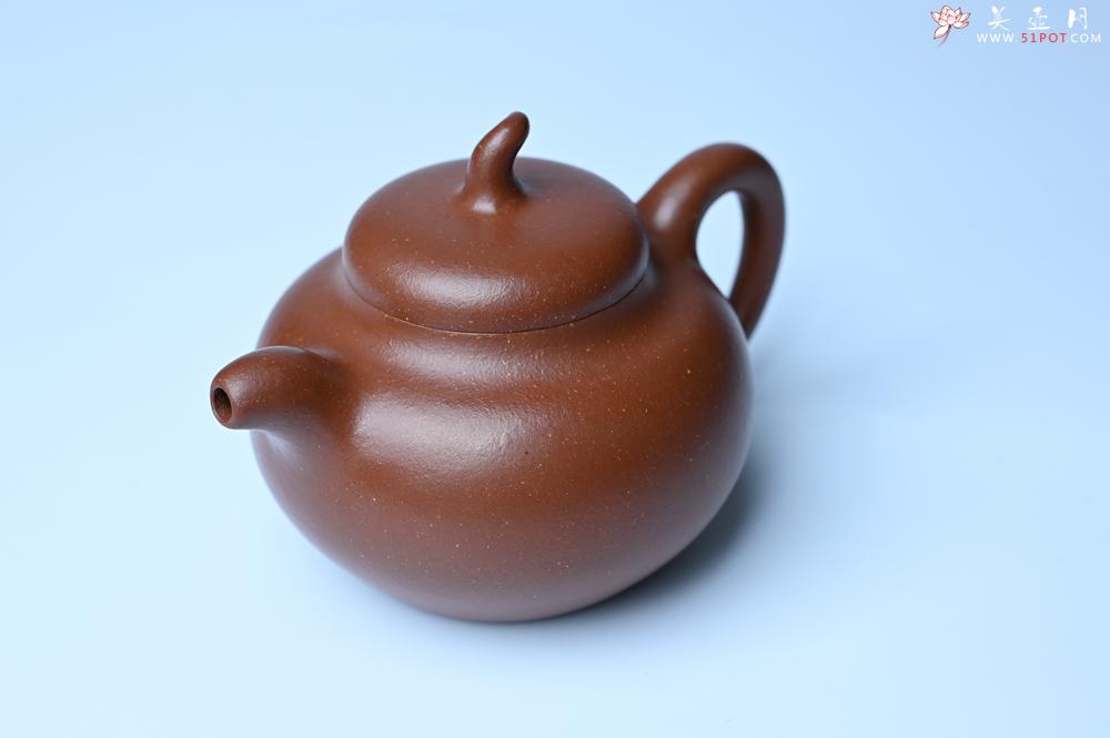 紫砂壶图片：潜力股周小培老师 油润降坡泥全手工茄瓜壶 - 紫砂壶之家紫砂壶网
