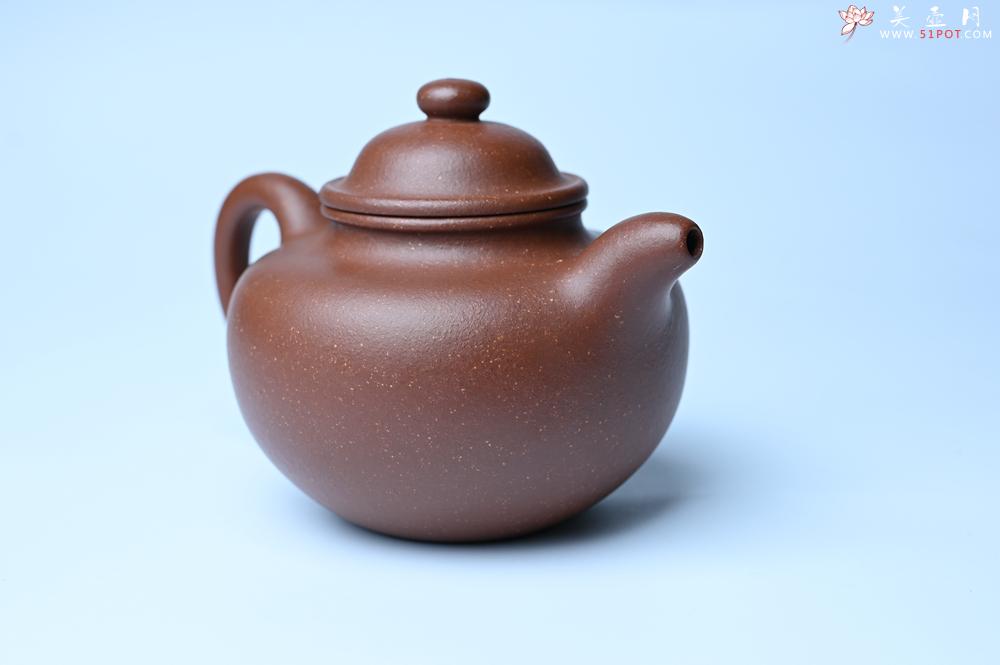 紫砂壶图片：美壶特惠 精致降坡泥大亨掇只壶 茶人醉爱 - 紫砂壶之家紫砂壶网