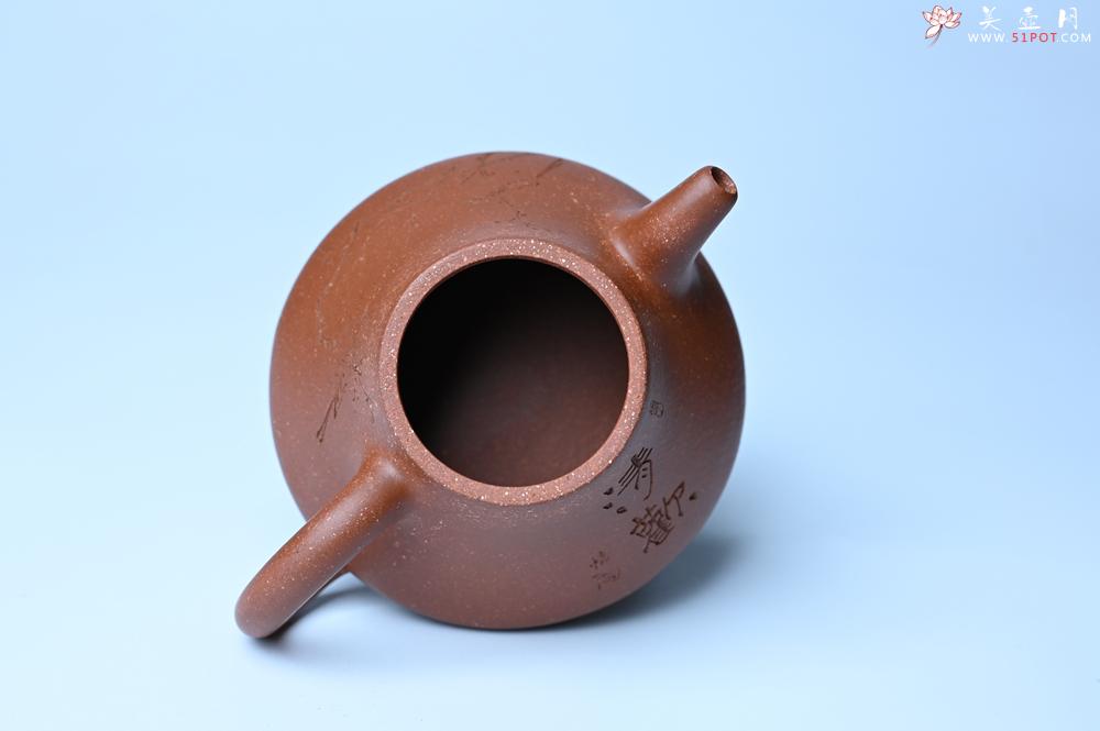 紫砂壶图片：美壶特惠 潜力股王老师 全手工拍打成型茄瓢壶 装饰枯枝鸟 特文气 - 紫砂壶之家紫砂壶网