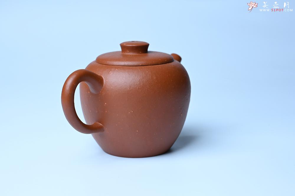紫砂壶图片：美壶特惠 精品粗砂红泥巨轮壶 茶人醉爱 - 紫砂壶之家紫砂壶网