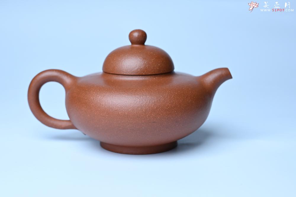 紫砂壶图片：美壶特惠 精致特好降坡泥华颖壶 茶人醉爱 - 紫砂壶之家紫砂壶网