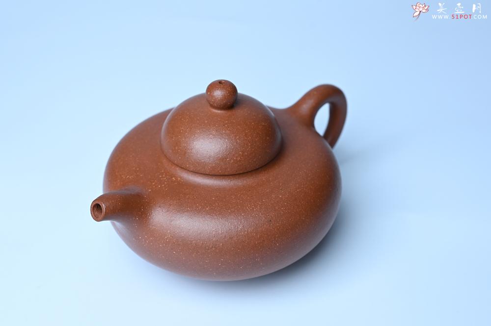 紫砂壶图片：美壶特惠 精致特好降坡泥华颖壶 茶人醉爱 - 紫砂壶之家紫砂壶网