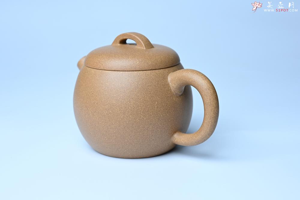 紫砂壶图片：美壶特惠 特好老黄段泥精致大炮巨轮壶 茶人醉爱 - 紫砂壶之家紫砂壶网