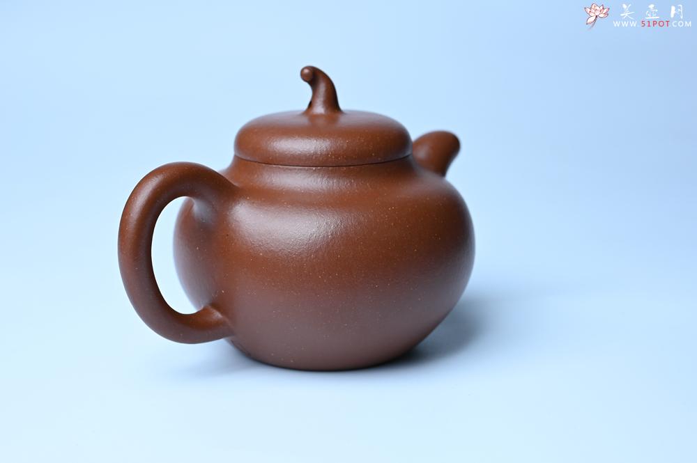 紫砂壶图片：潜力股周小培老师 油润降坡泥全手工茄瓜壶 - 紫砂壶之家紫砂壶网