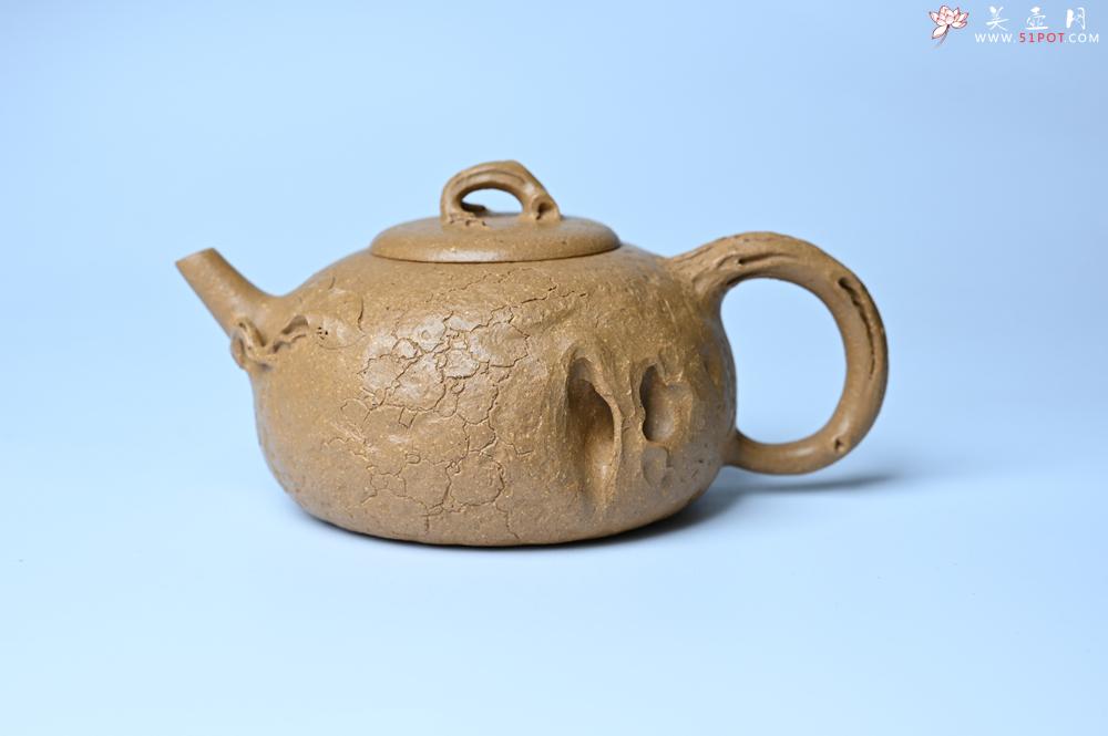紫砂壶图片：美壶特惠 特好老段泥全手工供春壶 茶人醉爱 - 紫砂壶之家紫砂壶网