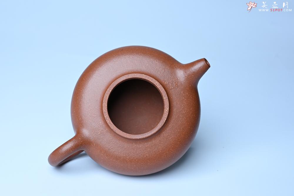 紫砂壶图片：美壶特惠 精致特好降坡泥华颖壶 茶人醉爱 - 紫砂壶之家紫砂壶网