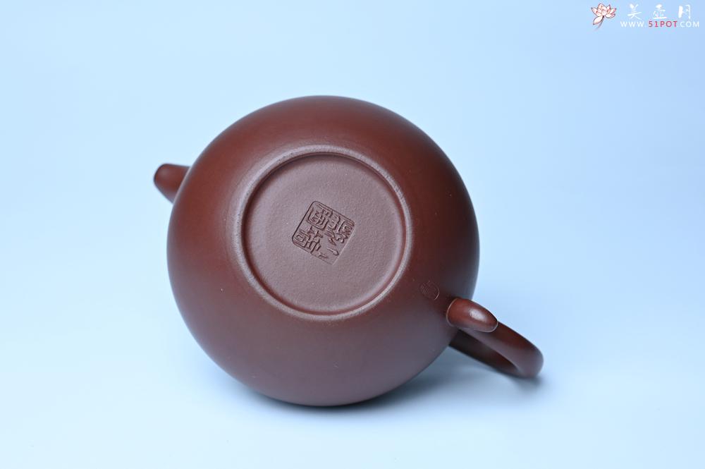 紫砂壶图片：潜力股周小培老师 4号井深井红皮龙 超精致全手工莲子茶壶 - 紫砂壶之家紫砂壶网