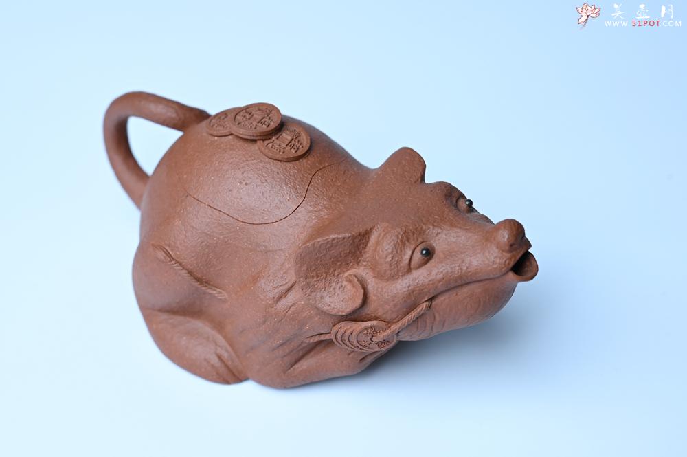 紫砂壶图片：美壶特惠 优质降坡泥鼠你有钱壶壶 茶人醉爱 - 紫砂壶之家紫砂壶网