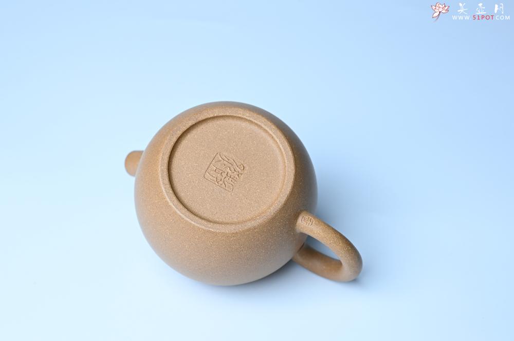 紫砂壶图片：美壶特惠 特好老黄段泥精致大炮巨轮壶 茶人醉爱 - 紫砂壶之家紫砂壶网
