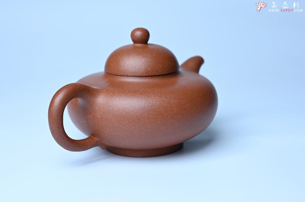 紫砂壶图片：美壶特惠 精致特好降坡泥华颖壶 茶人醉爱 - 紫砂壶之家紫砂壶网
