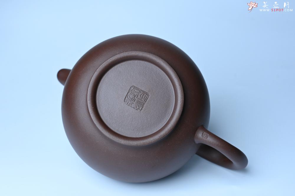 紫砂壶图片：美壶特惠 精致大掇只壶 大品气势恢宏 茶人醉爱 - 紫砂壶之家紫砂壶网