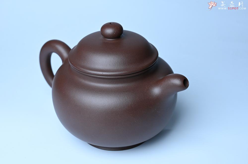 紫砂壶图片：美壶特惠 精致大掇只壶 大品气势恢宏 茶人醉爱 - 紫砂壶之家紫砂壶网