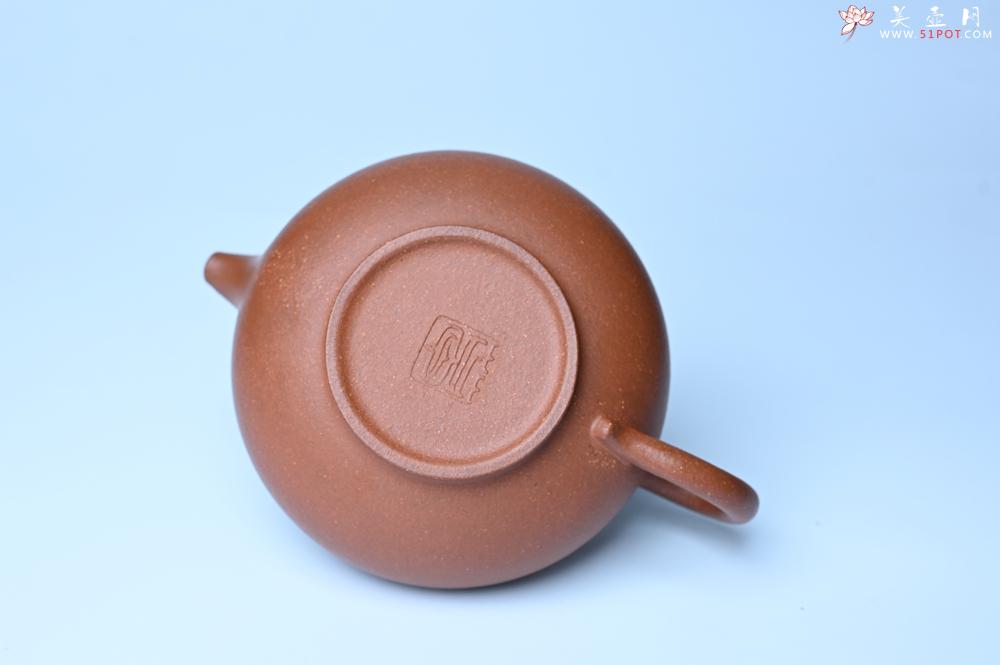 紫砂壶图片：美壶特惠 精致特好降坡泥华颖壶 茶人醉爱 - 紫砂壶之家紫砂壶网