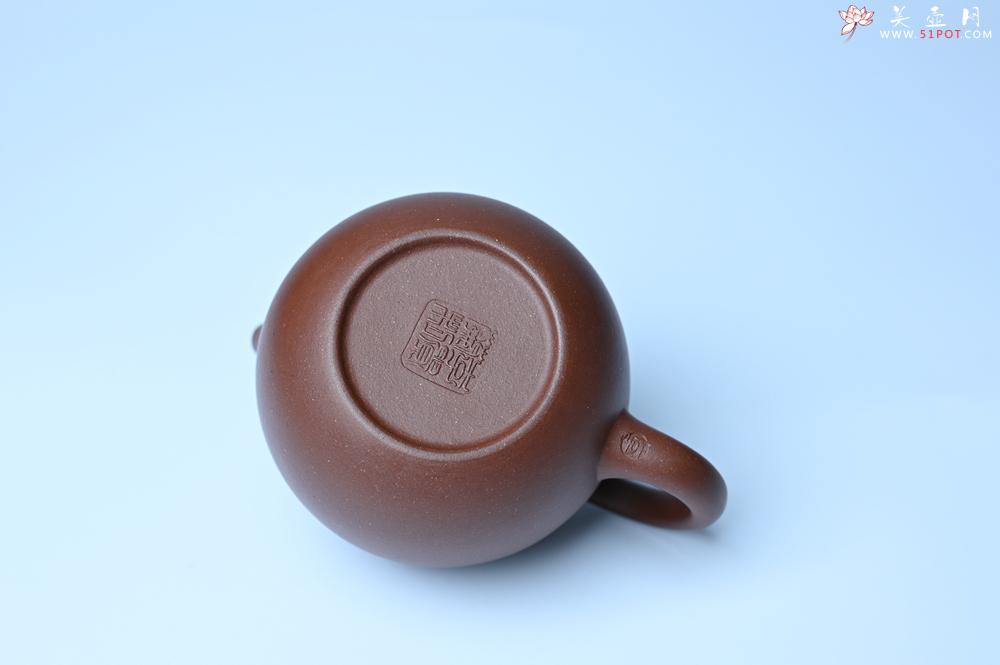 紫砂壶图片：美壶特惠 特好底槽青龙蛋壶 装饰兰草特文气 - 紫砂壶之家紫砂壶网
