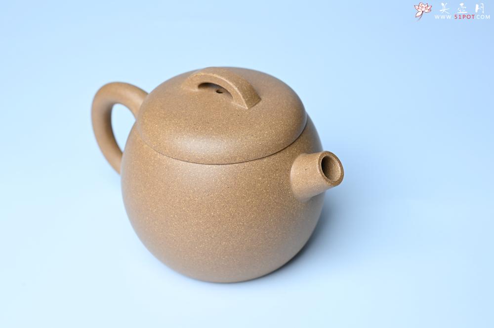 紫砂壶图片：美壶特惠 特好老黄段泥精致大炮巨轮壶 茶人醉爱 - 紫砂壶之家紫砂壶网