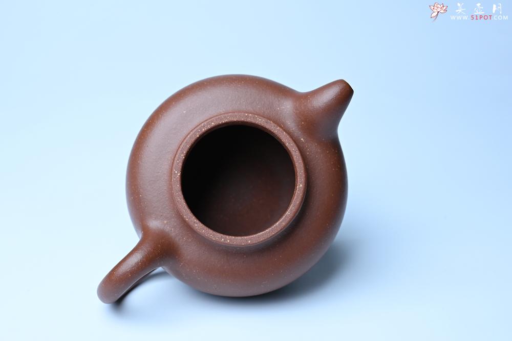 紫砂壶图片：美壶特惠 精致降坡泥大亨掇只壶 茶人醉爱 - 紫砂壶之家紫砂壶网
