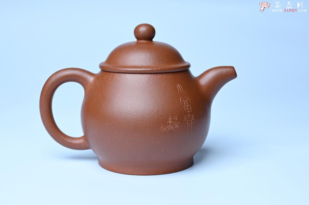 紫砂壶图片：美壶特惠 王老师 全手工红降坡泥潘壶 国助工 易轩 范小君徒杨志老师刻绘 装饰小富贵特文气 - 紫砂壶之家紫砂壶网