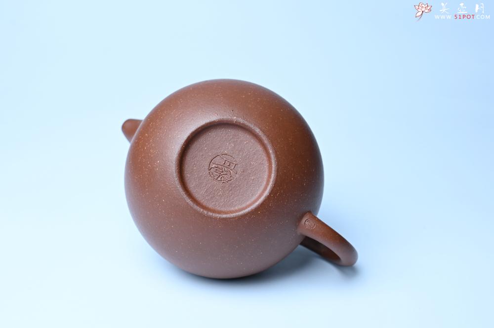 紫砂壶图片：美壶特惠 精致降坡泥大亨掇只壶 茶人醉爱 - 紫砂壶之家紫砂壶网