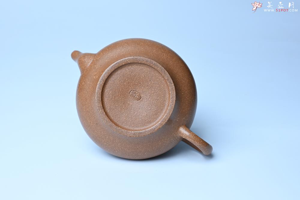 紫砂壶图片：美壶特惠 特好老段泥精致合欢壶 茶人醉爱 - 紫砂壶之家紫砂壶网