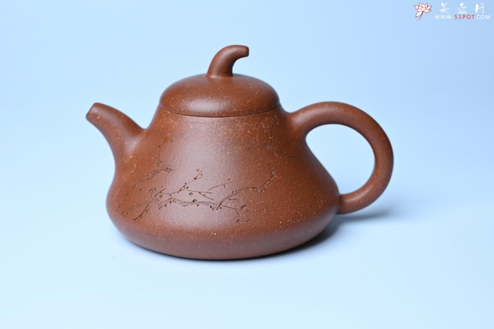 紫砂壶图片：美壶特惠 潜力股王老师 全手工拍打成型茄瓢壶 装饰枯枝鸟 特文气 - 紫砂壶之家紫砂壶网