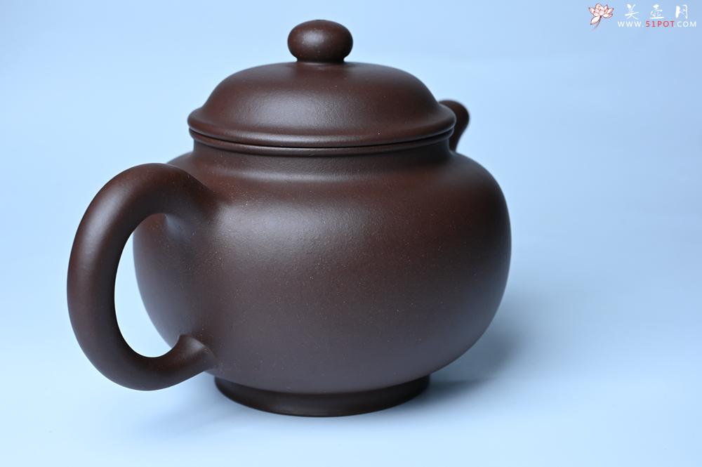 紫砂壶图片：美壶特惠 精致大掇只壶 大品气势恢宏 茶人醉爱 - 紫砂壶之家紫砂壶网