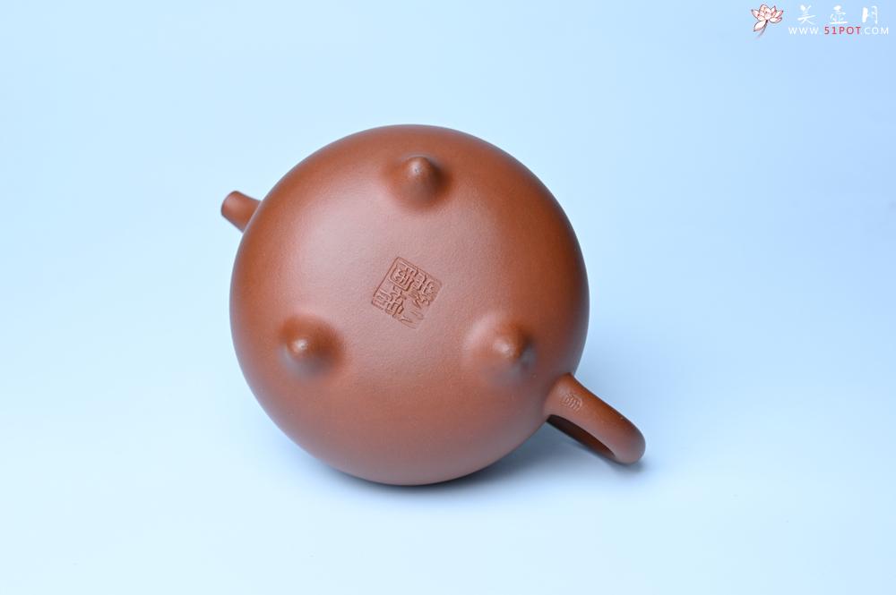 紫砂壶图片：潜力股周小培老师 老师家藏黄龙山一号井小红泥 全手工乳鼎壶 - 紫砂壶之家紫砂壶网
