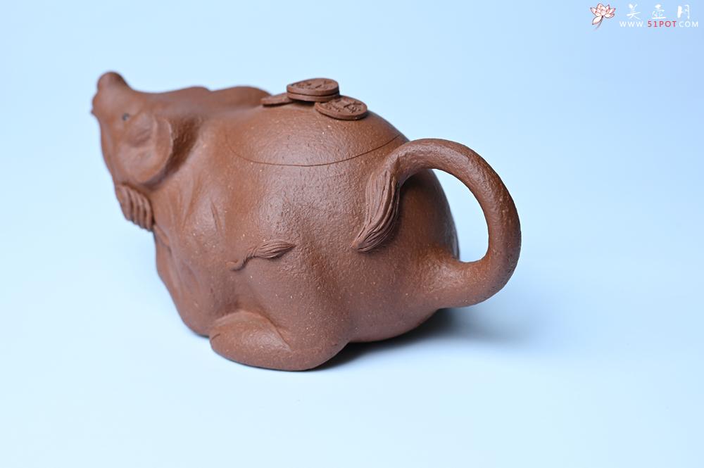 紫砂壶图片：美壶特惠 优质降坡泥鼠你有钱壶壶 茶人醉爱 - 紫砂壶之家紫砂壶网