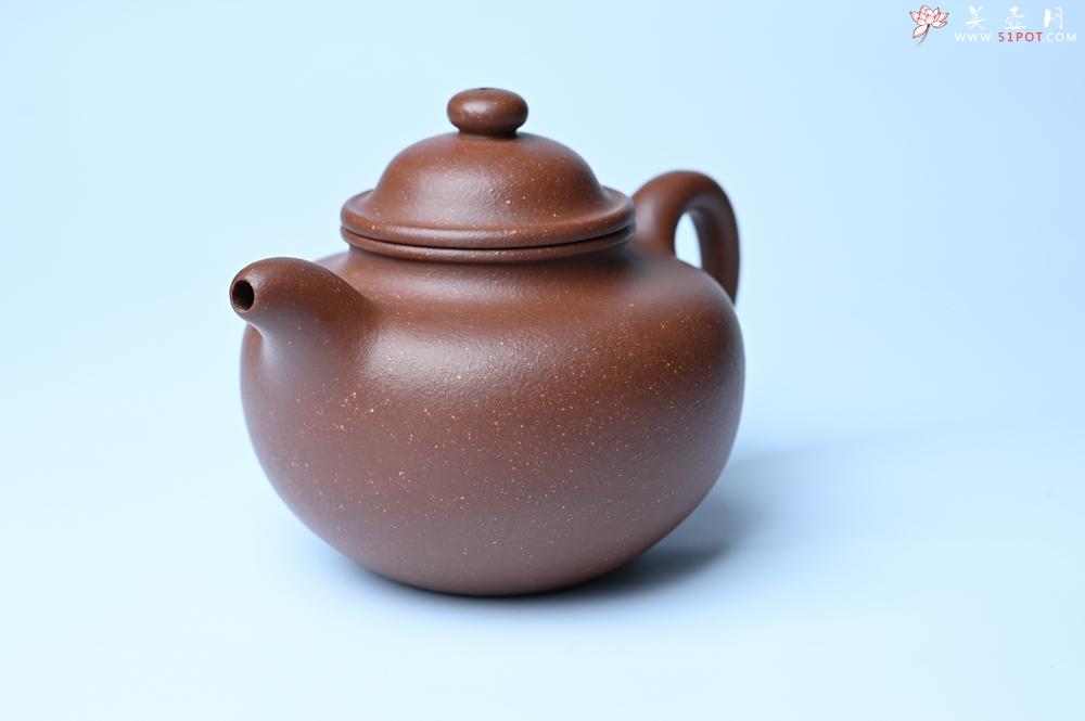 紫砂壶图片：美壶特惠 精致降坡泥大亨掇只壶 茶人醉爱 - 紫砂壶之家紫砂壶网