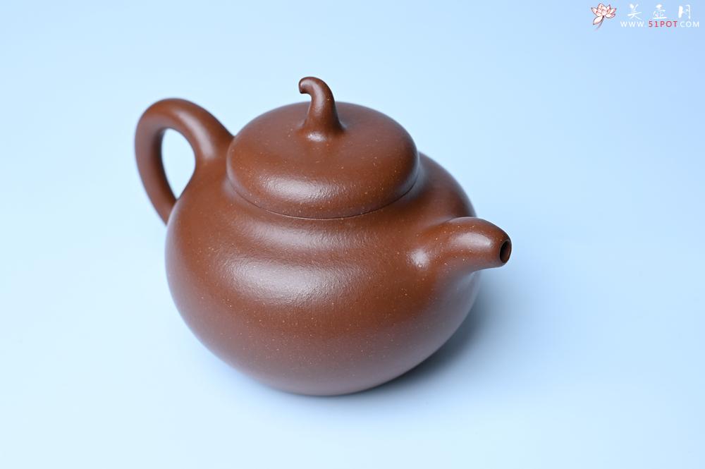 紫砂壶图片：潜力股周小培老师 油润降坡泥全手工茄瓜壶 - 紫砂壶之家紫砂壶网