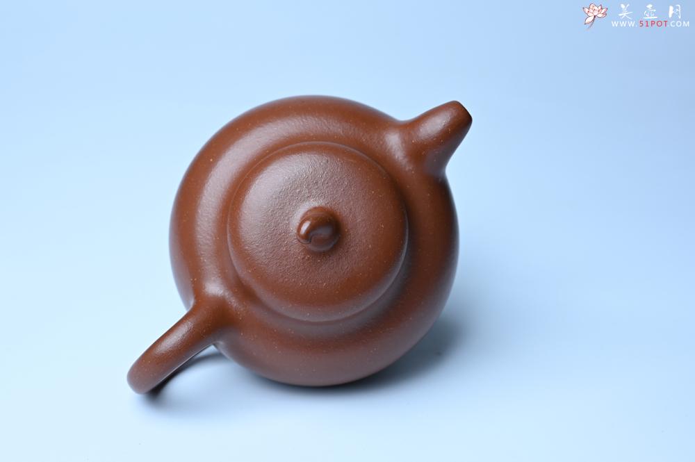 紫砂壶图片：潜力股周小培老师 油润降坡泥全手工茄瓜壶 - 紫砂壶之家紫砂壶网