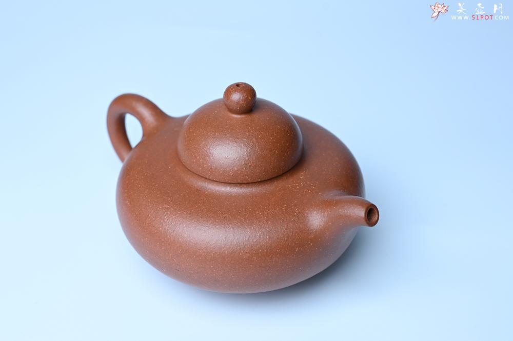 紫砂壶图片：美壶特惠 精致特好降坡泥华颖壶 茶人醉爱 - 紫砂壶之家紫砂壶网