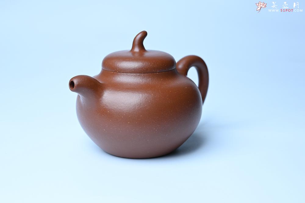 紫砂壶图片：潜力股周小培老师 油润降坡泥全手工茄瓜壶 - 紫砂壶之家紫砂壶网