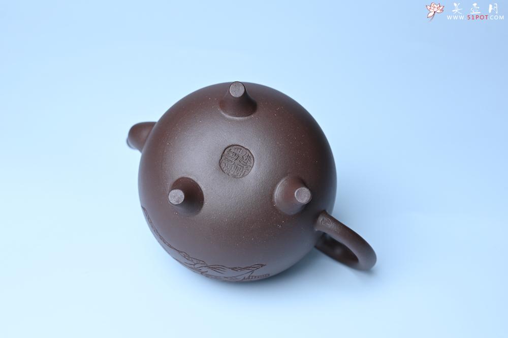 紫砂壶图片：美壶特惠 优质紫泥精致三足鼎壶 品茶论道 - 紫砂壶之家紫砂壶网