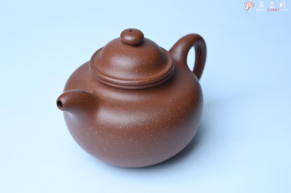紫砂壶图片：美壶特惠 精致降坡泥大亨掇只壶 茶人醉爱 - 紫砂壶之家紫砂壶网