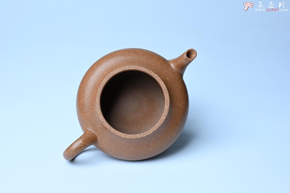 紫砂壶图片：美壶特惠 特好老段泥精致合欢壶 茶人醉爱 - 紫砂壶之家紫砂壶网